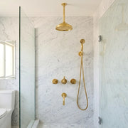 Unlacquered brass ceiling shower system with rain shower head, handheld sprayer, and integrated tub spout.