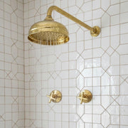Unlacquered brass wall mounted rain shower head with dual valve controls